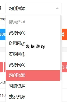 晚枫网络-枫雨同舟